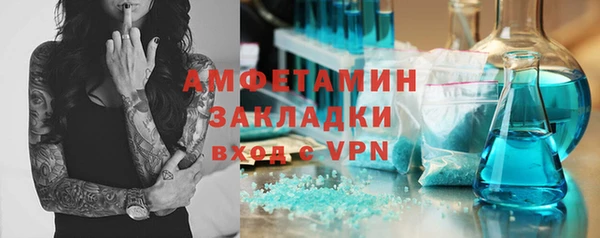 СК Алексин