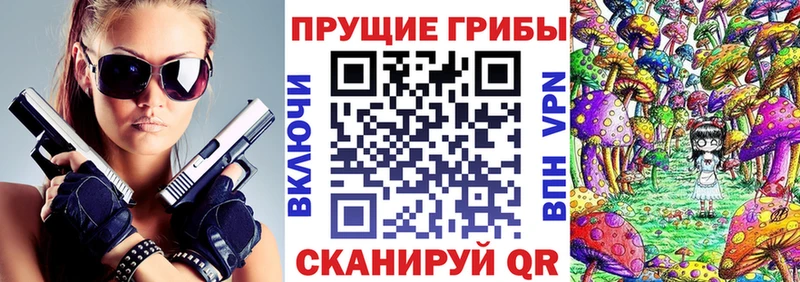 Галлюциногенные грибы Psilocybine cubensis  blacksprut ссылки  Отрадная 